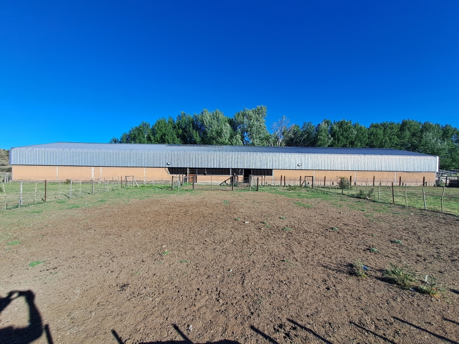 4 Bedroom Property for Sale in Middelburg Rural Eastern Cape